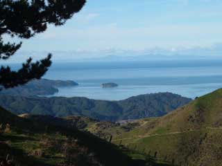 View of Abel Tasman  New Zealand